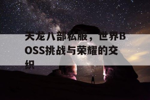 天龙八部私服，世界BOSS挑战与荣耀的交织