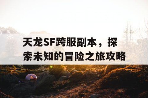 天龙SF跨服副本，探索未知的冒险之旅攻略