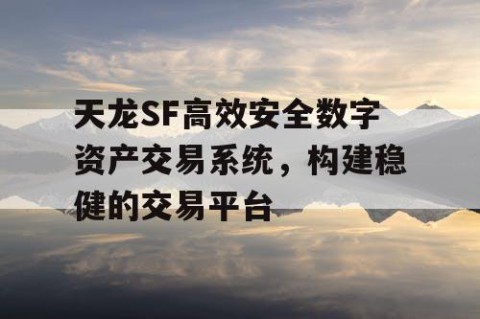 天龙SF高效安全数字资产交易系统，构建稳健的交易平台