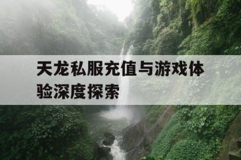 天龙私服充值与游戏体验深度探索