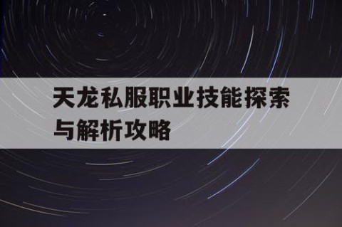 天龙私服职业技能探索与解析攻略