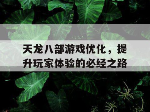 天龙八部游戏优化，提升玩家体验的必经之路