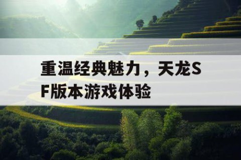 重温经典魅力，天龙SF版本游戏体验