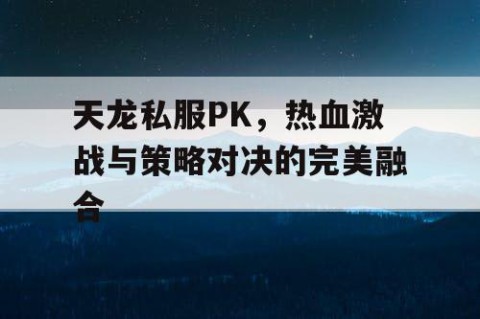 天龙私服PK，热血激战与策略对决的完美融合