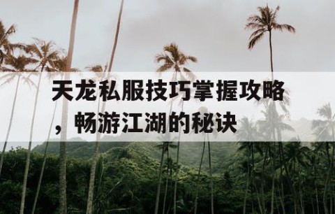 天龙私服技巧掌握攻略，畅游江湖的秘诀