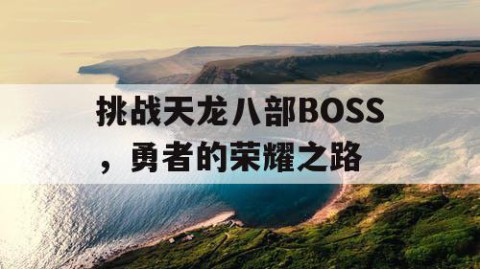 挑战天龙八部BOSS，勇者的荣耀之路