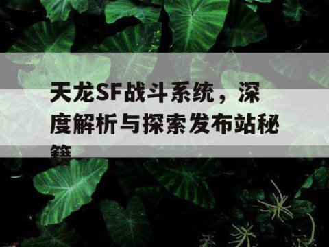 天龙SF战斗系统，深度解析与探索发布站秘籍