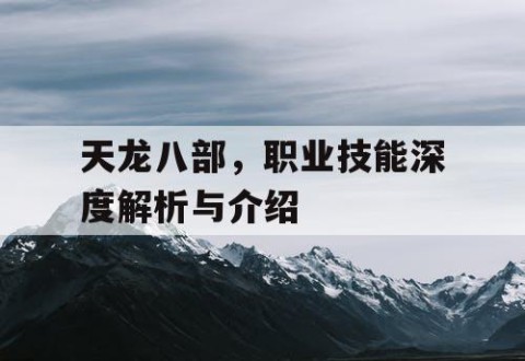 天龙八部，职业技能深度解析与介绍