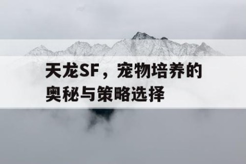 天龙SF，宠物培养的奥秘与策略选择