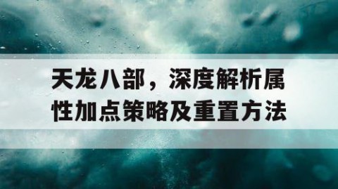 天龙八部，深度解析属性加点策略及重置方法