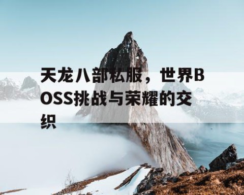 天龙八部私服，世界BOSS挑战与荣耀的交织