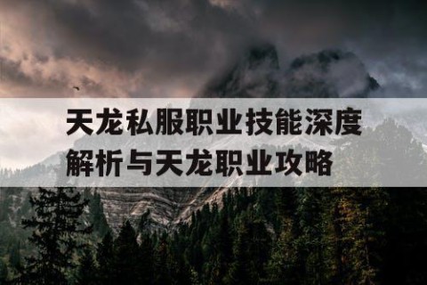 天龙私服职业技能深度解析与天龙职业攻略