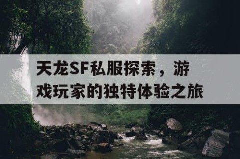 天龙SF私服探索，游戏玩家的独特体验之旅