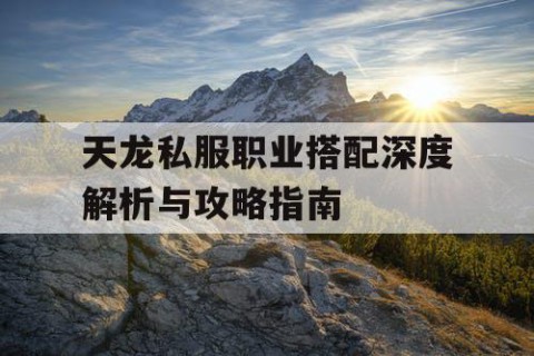 天龙私服职业搭配深度解析与攻略指南