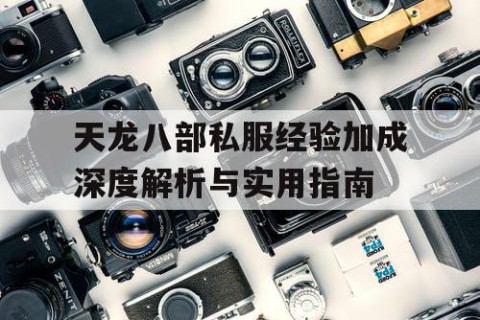 天龙八部私服经验加成深度解析与实用指南