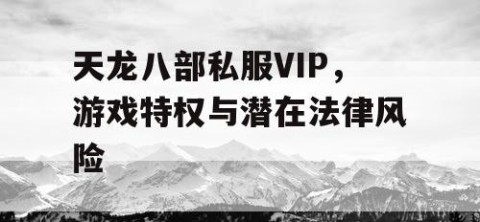 天龙八部私服VIP，游戏特权与潜在法律风险