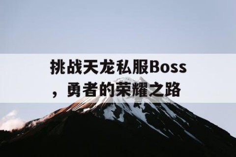 挑战天龙私服Boss，勇者的荣耀之路