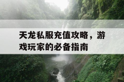 天龙私服充值攻略，游戏玩家的必备指南