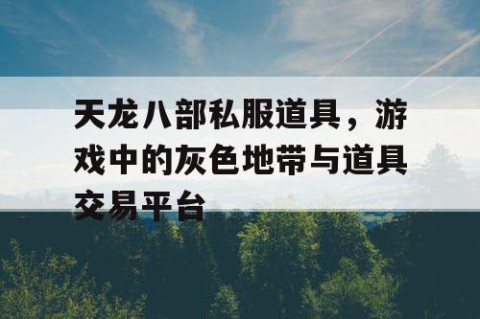 天龙八部私服道具，游戏中的灰色地带与道具交易平台