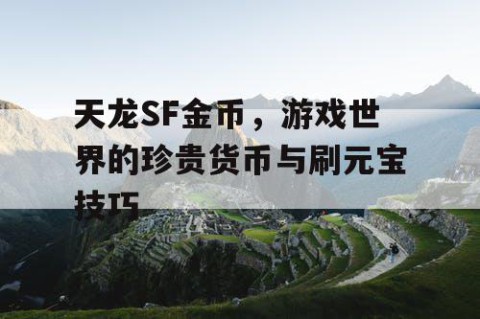 天龙SF金币，游戏世界的珍贵货币与刷元宝技巧