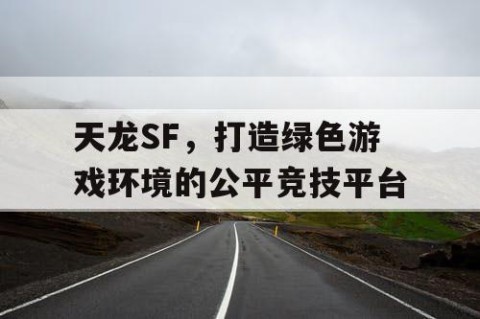 天龙SF，打造绿色游戏环境的公平竞技平台