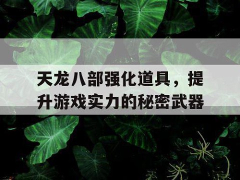 天龙八部强化道具，提升游戏实力的秘密武器