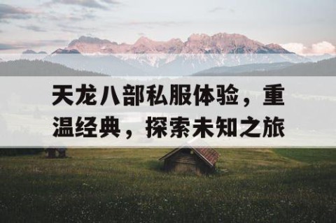 天龙八部私服体验，重温经典，探索未知之旅