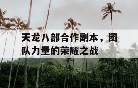 天龙八部合作副本，团队力量的荣耀之战