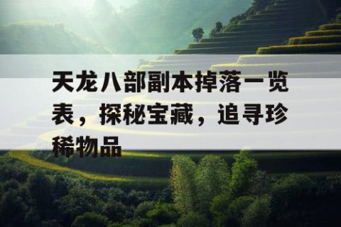 天龙八部副本掉落一览表，探秘宝藏，追寻珍稀物品