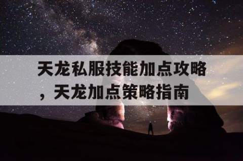 天龙私服技能加点攻略，天龙加点策略指南