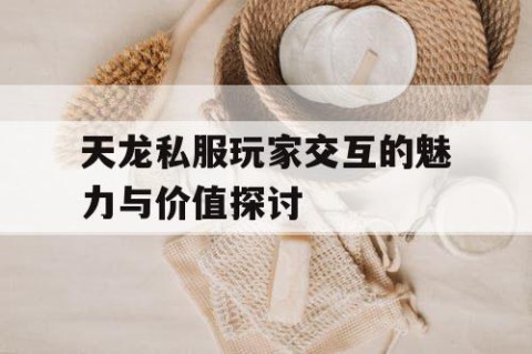 天龙私服玩家交互的魅力与价值探讨