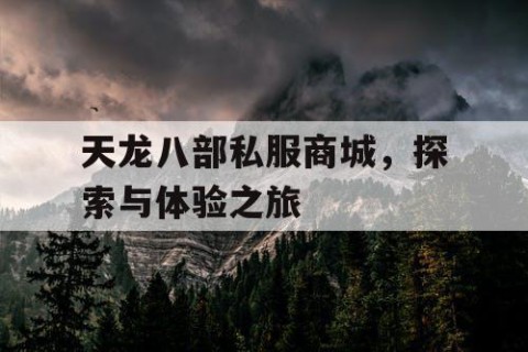 天龙八部私服商城，探索与体验之旅