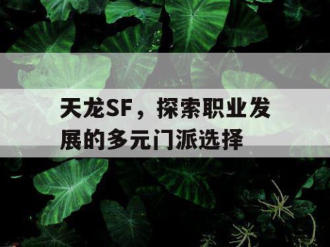 天龙SF，探索职业发展的多元门派选择