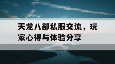 天龙八部私服交流，玩家心得与体验分享