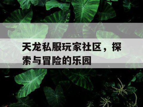 天龙私服玩家社区，探索与冒险的乐园