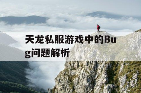 天龙私服游戏中的Bug问题解析