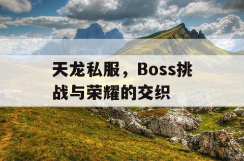 天龙私服，Boss挑战与荣耀的交织