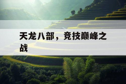 天龙八部，竞技巅峰之战