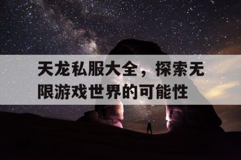 天龙私服大全，探索无限游戏世界的可能性