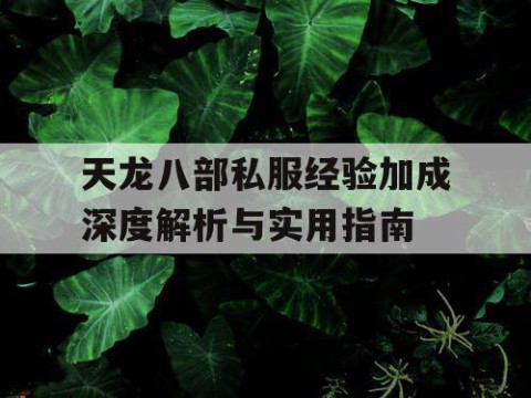 天龙八部私服经验加成深度解析与实用指南