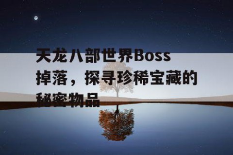 天龙八部世界Boss掉落，探寻珍稀宝藏的秘密物品