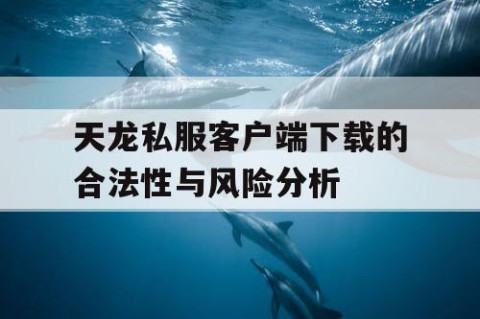 天龙私服客户端下载的合法性与风险分析