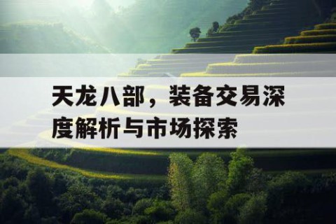 天龙八部，装备交易深度解析与市场探索