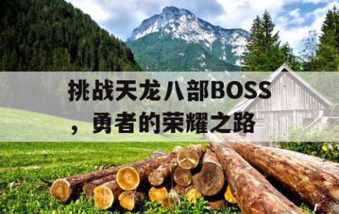 挑战天龙八部BOSS，勇者的荣耀之路