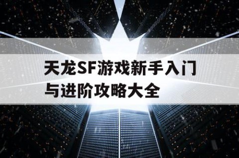 天龙SF游戏新手入门与进阶攻略大全