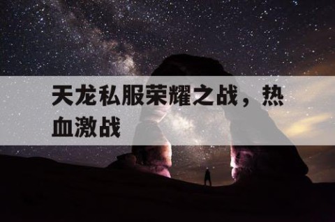 天龙私服荣耀之战，热血激战