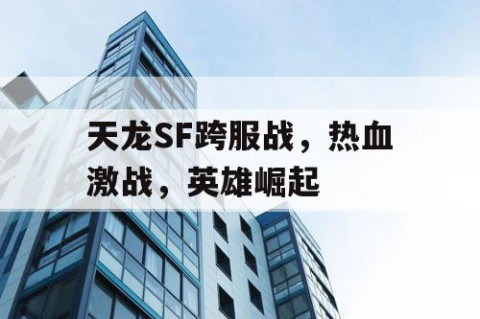 天龙SF跨服战，热血激战，英雄崛起