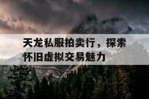 天龙私服拍卖行，探索怀旧虚拟交易魅力