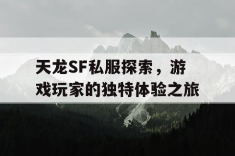 天龙SF私服探索，游戏玩家的独特体验之旅