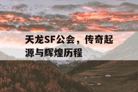 天龙SF公会，传奇起源与辉煌历程